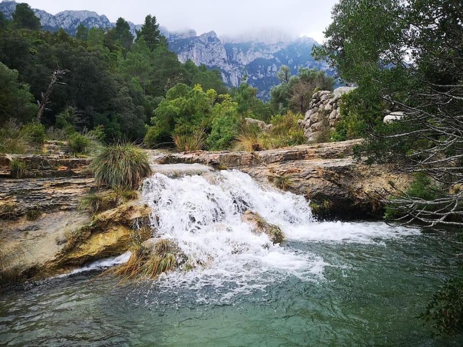 Ca La Cabrera Διαμέρισμα Alfara de Carles Εξωτερικό φωτογραφία